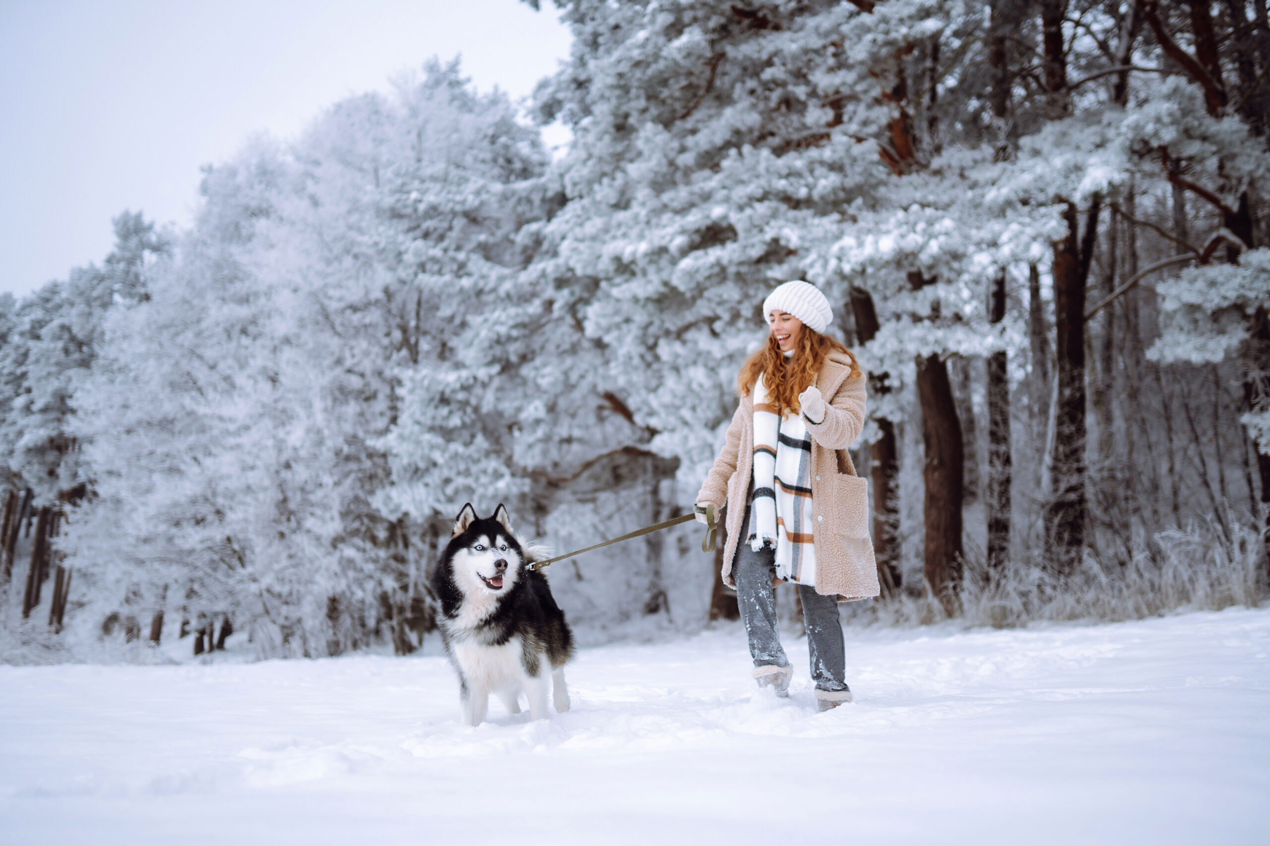 Woman in a beige coat and white knit hat walking a husky on a leash through a snowy forest.